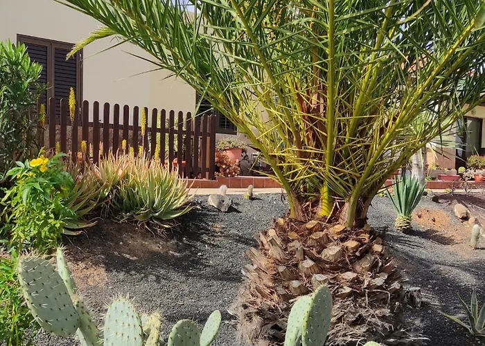 Casa Palma De Lomas カレタ・デ・フステ